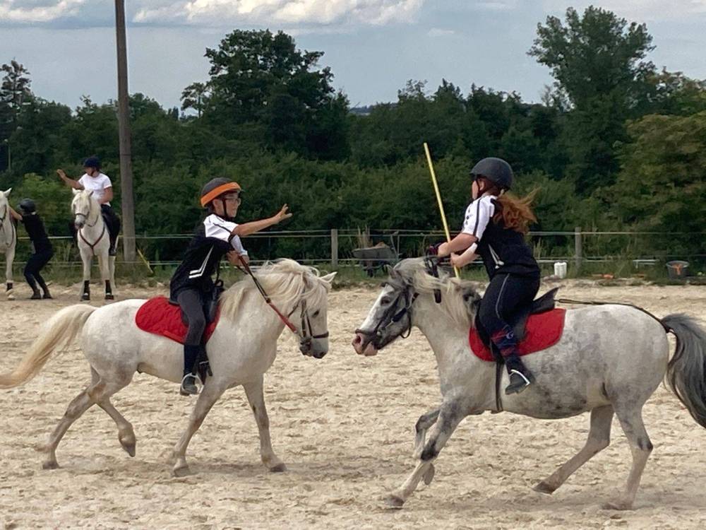 concours-pony-games