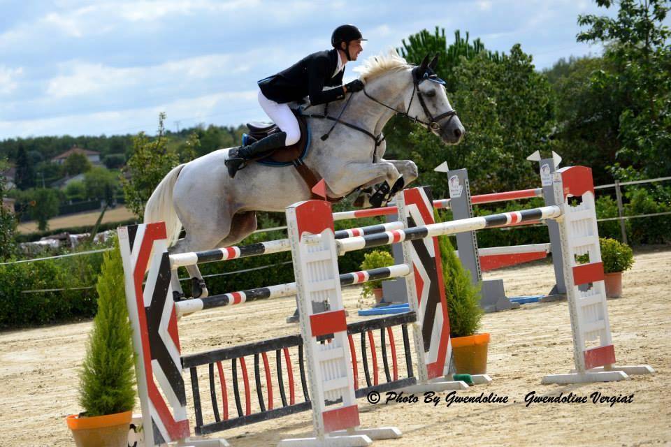 obstacle-gris