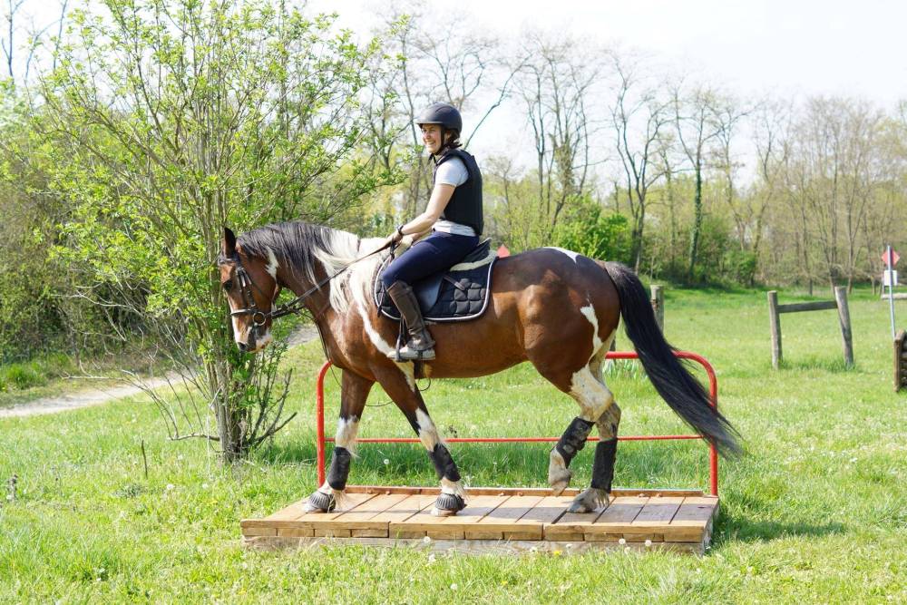 trec