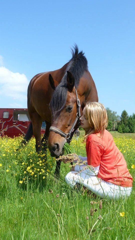 bai-herbe